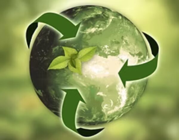 Economie écologique